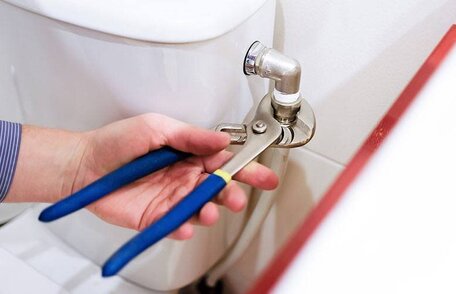 Toilet Leaks Cistern Flushed